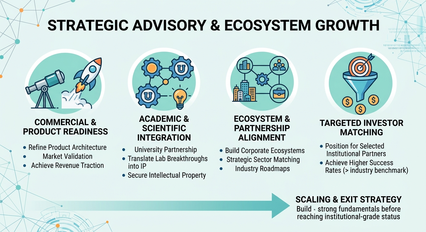 Strategic Advisory Beyond Traditional Venture Capital for Scale-Ups and Research Spin-Outs United States